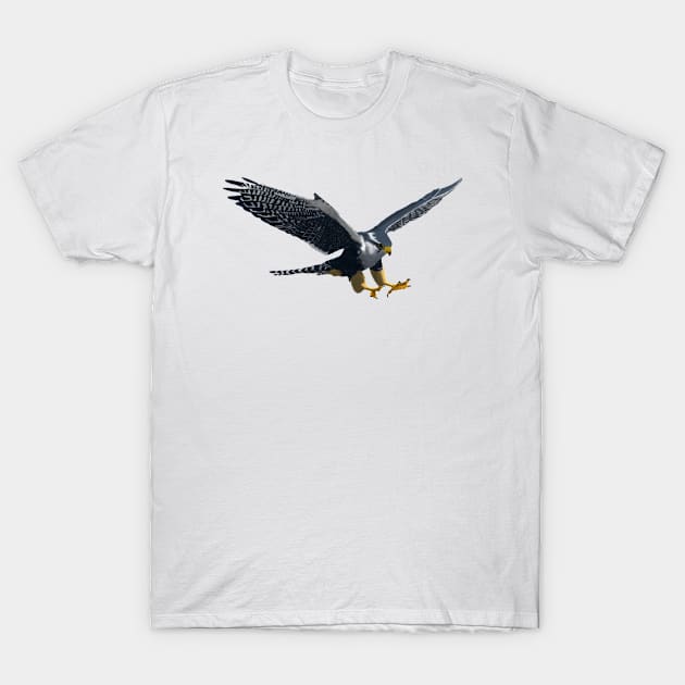 Falcon T-Shirt by College Mascot Designs